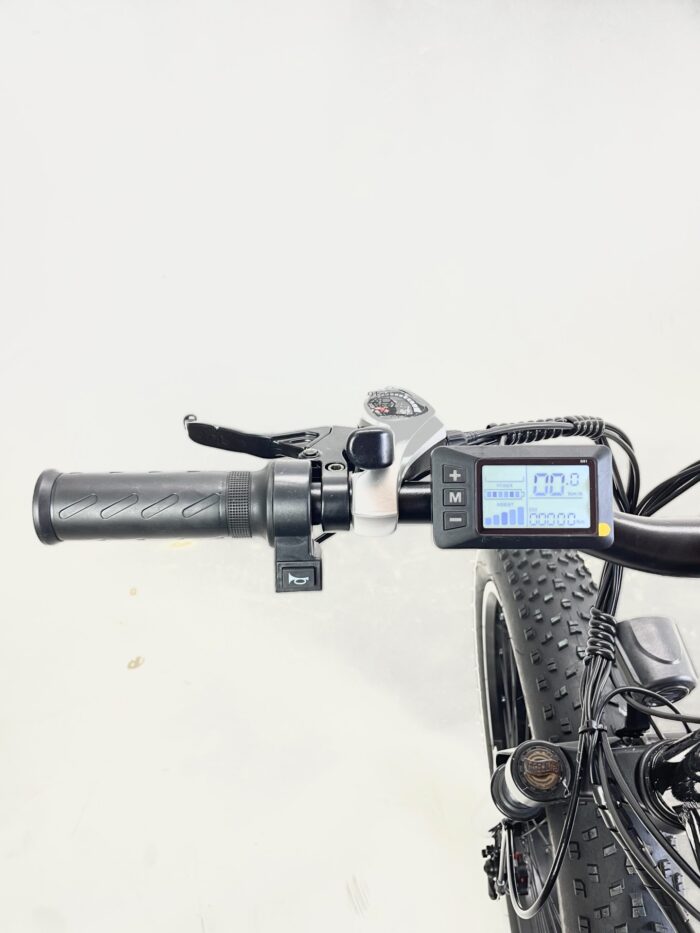 1756371062_68b0187645f2e Электровелосипед fatbike Bolttec (48V/1000W/21AH)